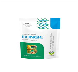 Bungie 